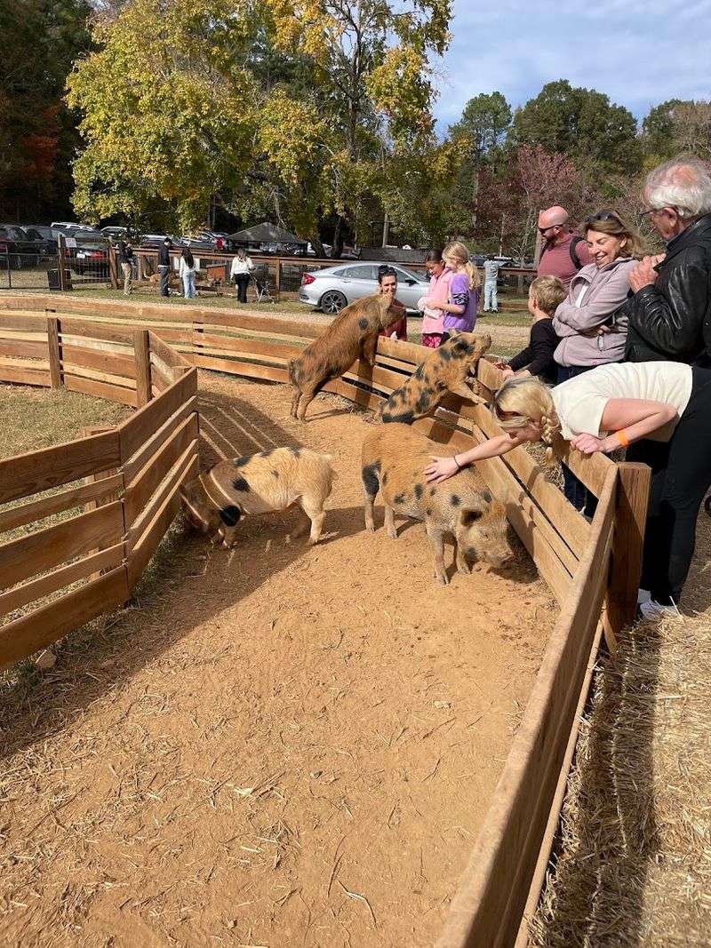 Seasonal Events and Special Farm Experiences