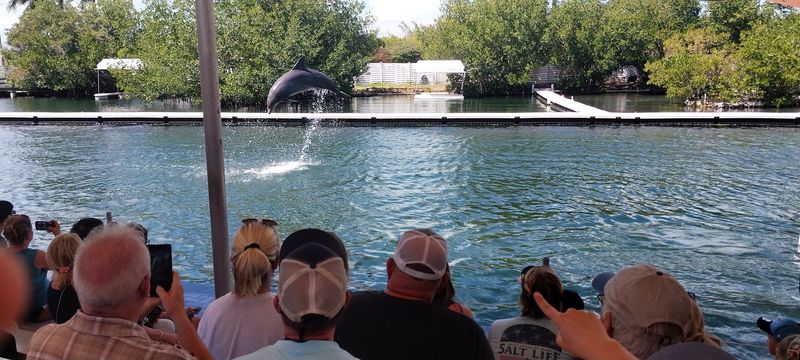 Accessibility And Crowd-Savvy Tips