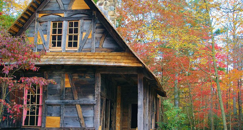 The Visitor Center Sets The Scene