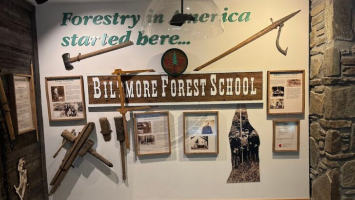America&rsquo;s First Forestry School Still Tells Its Story At This North Carolina Museum