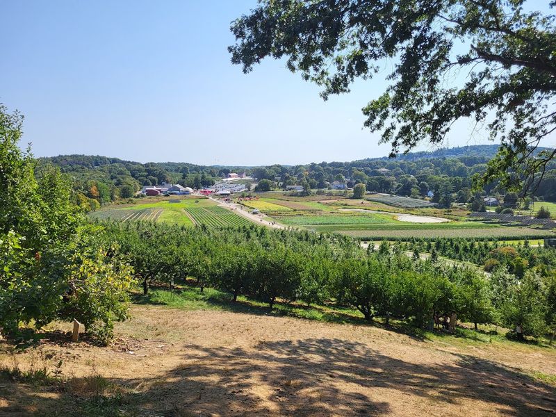 The Merrimack Valley Gives You Plenty To Pair With It