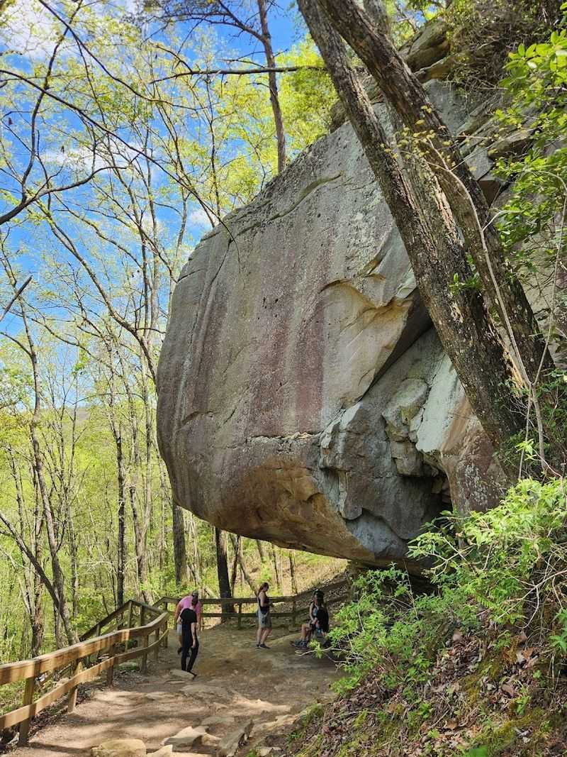 Cloudland Canyon West Rim Loop
