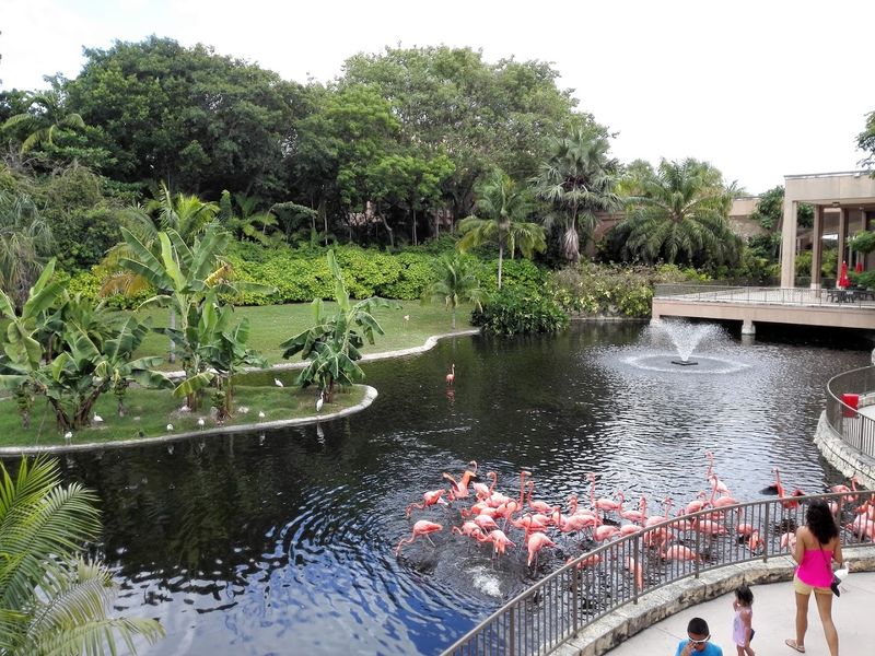 An 18-Acre Tropical Eco-Adventure Park in the Heart of Miami