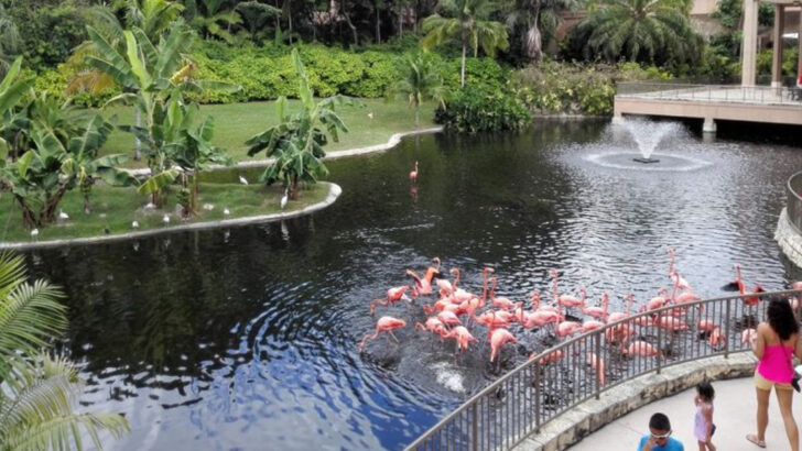 An 18-Acre Wildlife and Botanical Park in Florida Is Home to Some of the Most Exotic Animals in the State