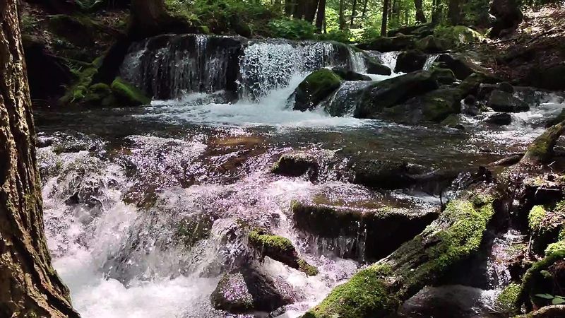 Seasonal Changes That Reshape the Creek