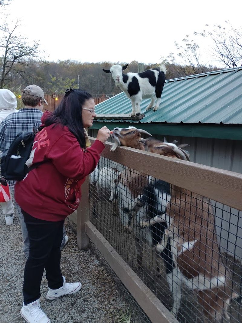 A Relaxed, Pressure-Free Atmosphere