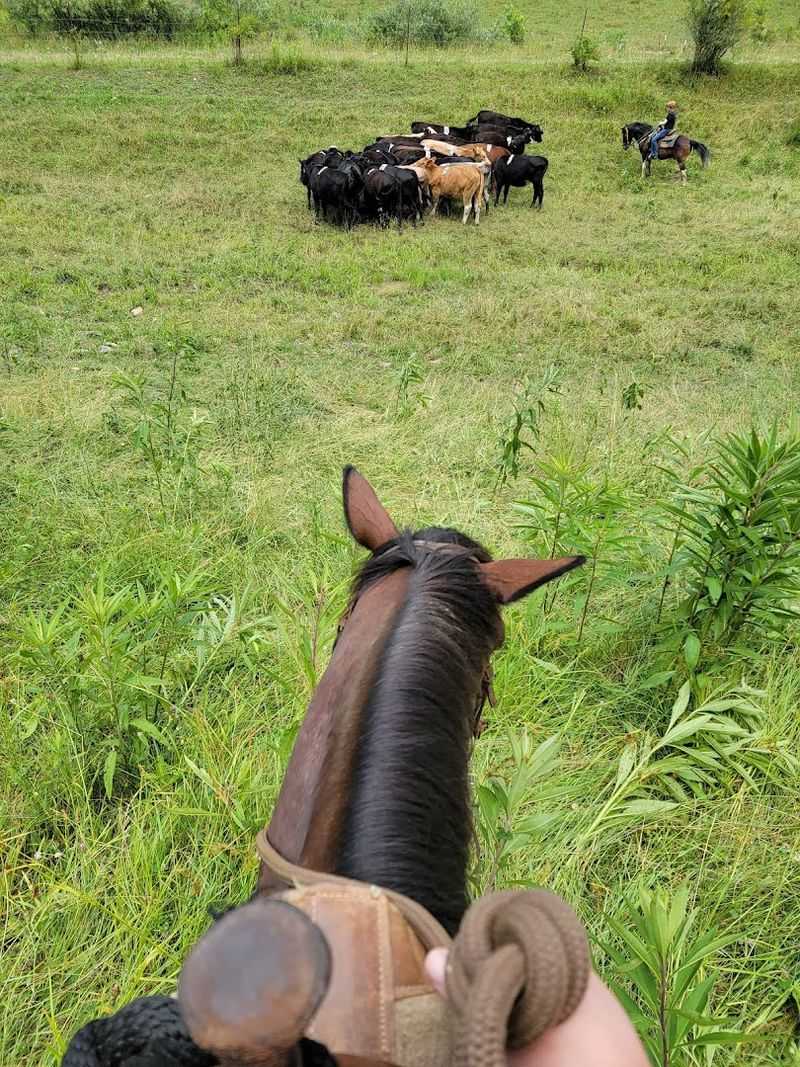 Trails for Every Skill Level