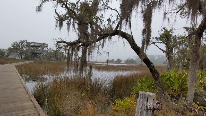 Salt Marsh Views Along the Trails