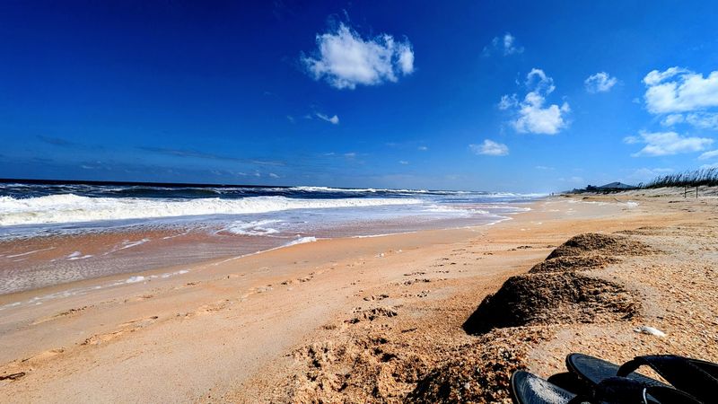 Tide Pool Exploration And Marine Life