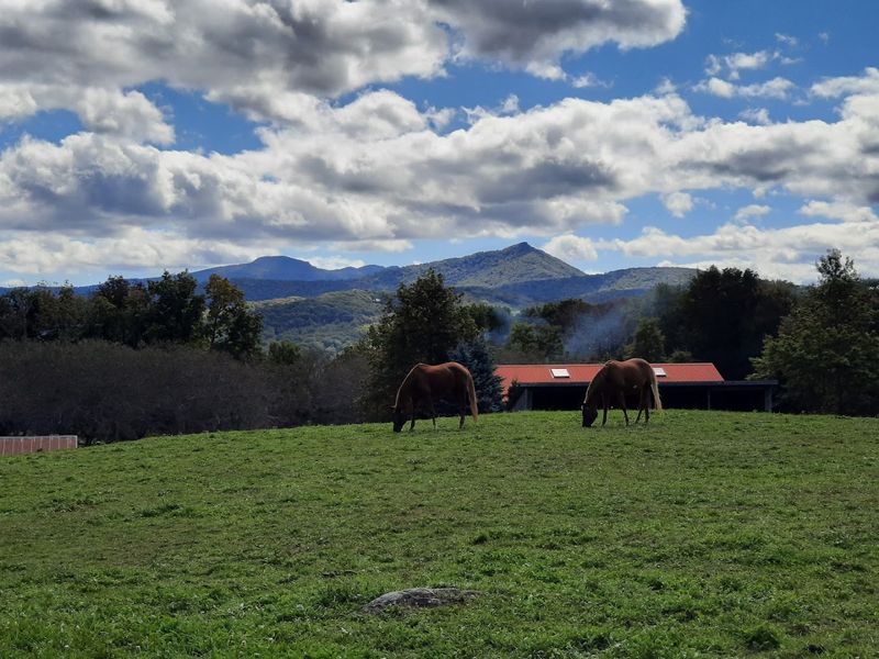 Breathtaking Mountain Views From the Farm