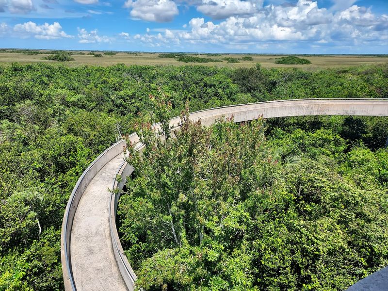 Shark Valley Tram Trail