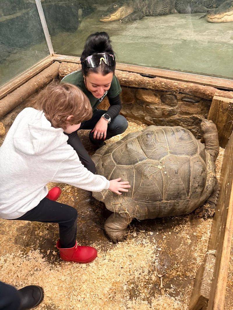 The Mission & Conservation Background