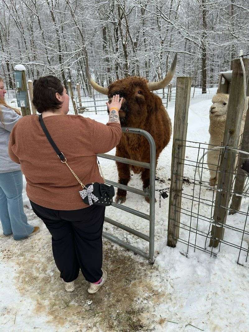 Daily Shows & Presentations