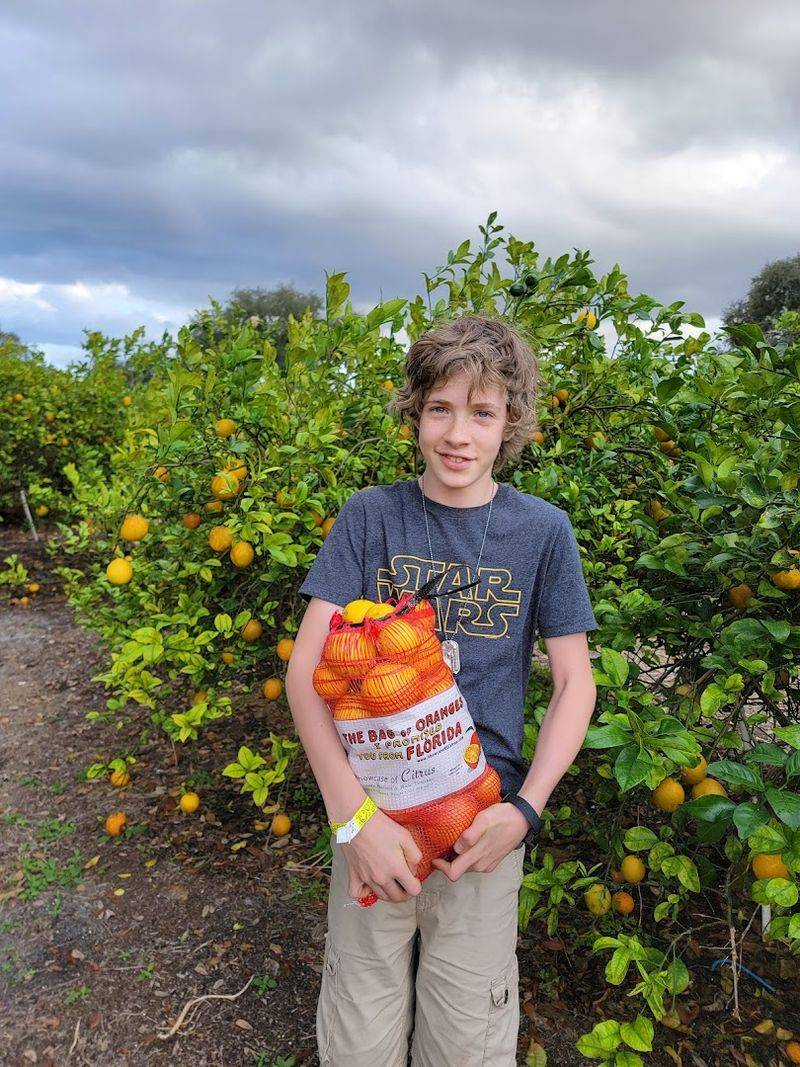 Preserving Florida's Disappearing Citrus Culture