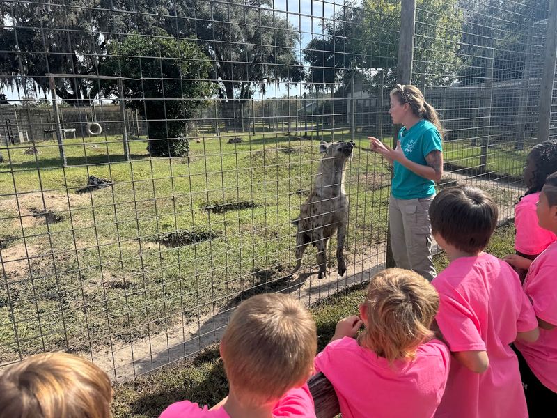 Field Trips and Educational Programs for School Groups