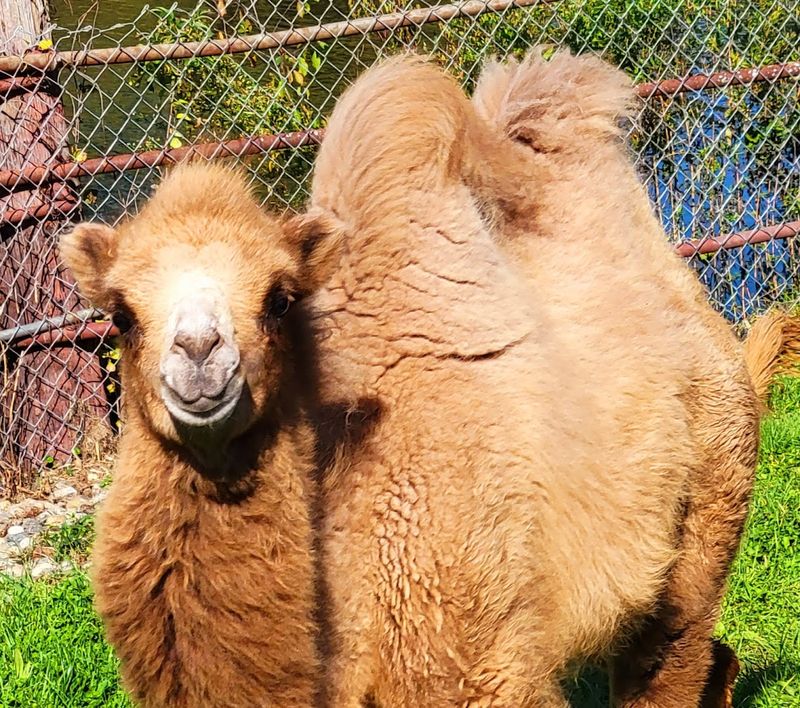 Staff Interactions That Add Heart to the Visit