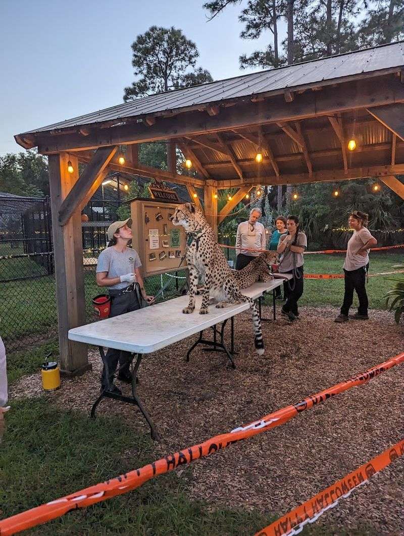 Planning Your Visit: Hours, Tickets, Tips