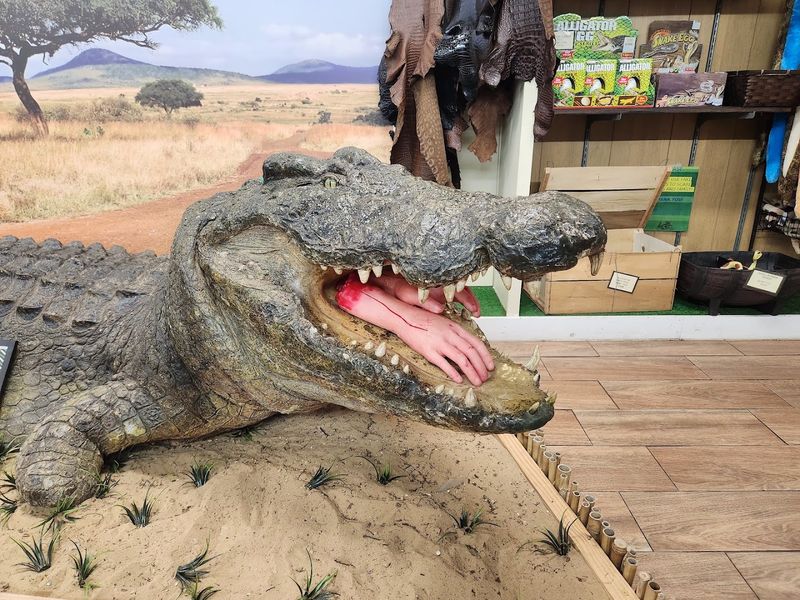 Route Planning And Show Strategy