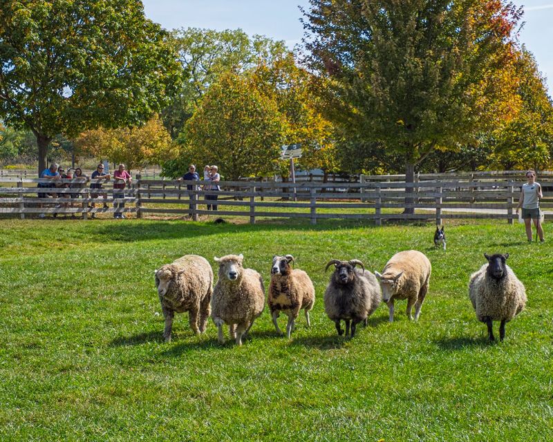 Interactive Demonstrations and Daily Activities That Teach Real Skills