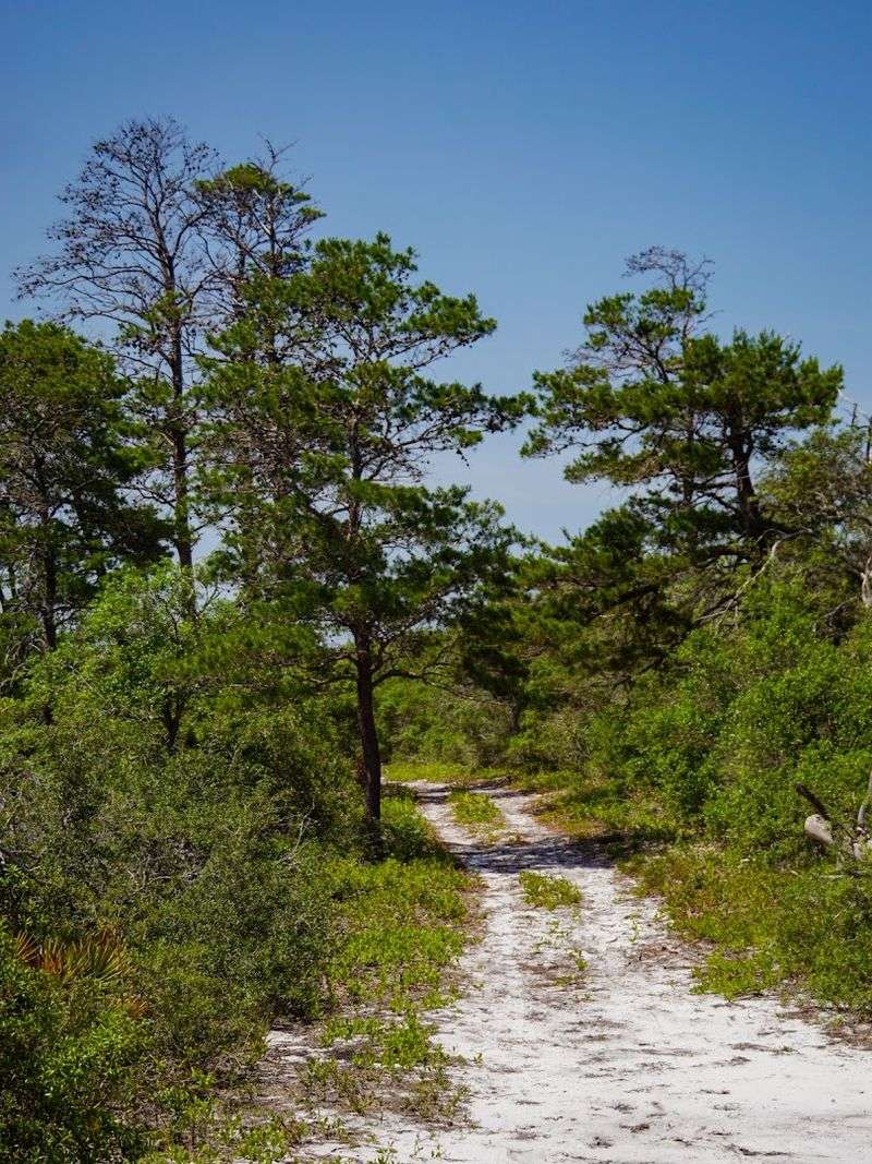 Naval Live Oaks Trail - Gulf Islands National Seashore