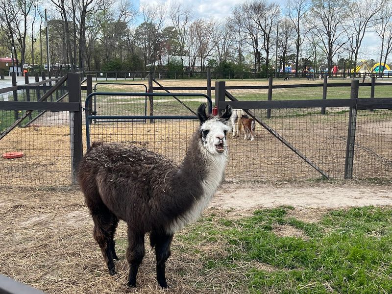 Sweet Valley Ranch (Fayetteville)