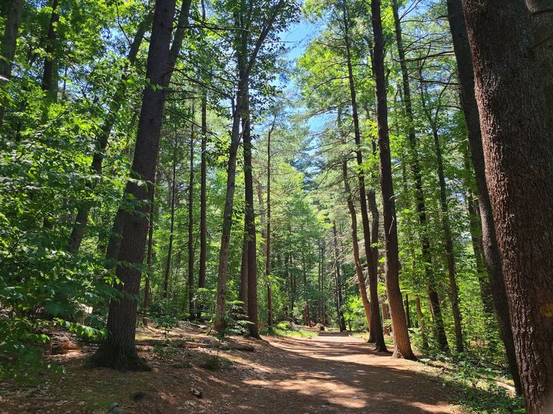 Houghton's Pond Loop (Blue Hills)