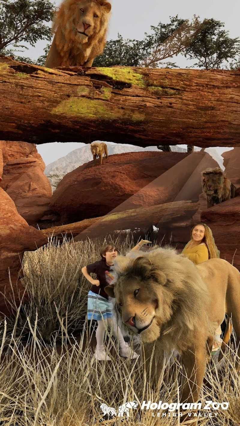 Free Photo Studio And Digital Keepsakes