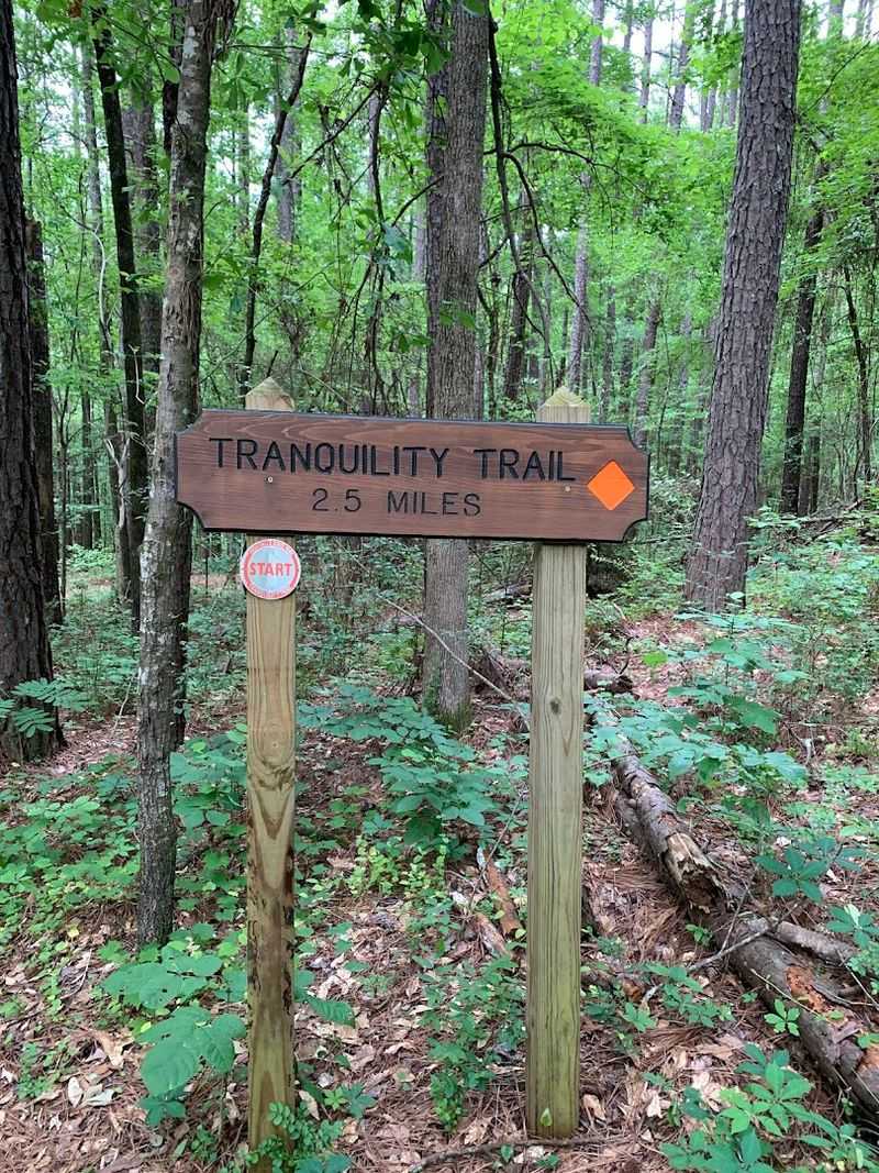 High Falls State Park Trails