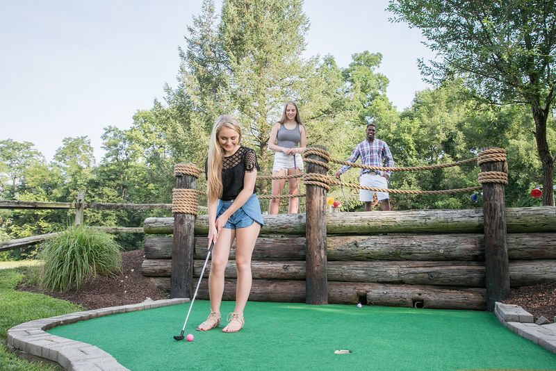 Mini Golf: Castle And Western Courses