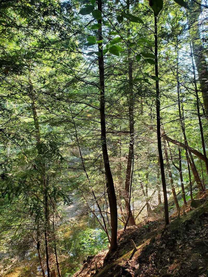 Shawnee State Park North Loop &ndash; Shawnee State Park