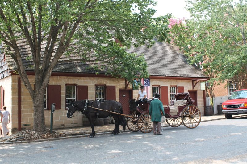 Planning Your Visit: Tips, Tickets, and Timing for the Best Experience