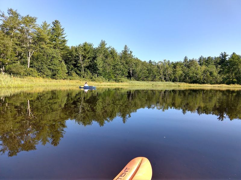 Mauserts Pond: Kayak, Swim, and Watch the Light Shift