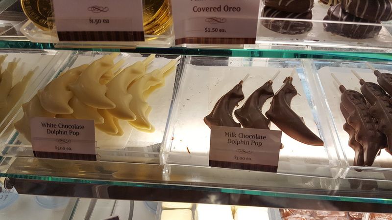 Florida-Themed Specialty Chocolates