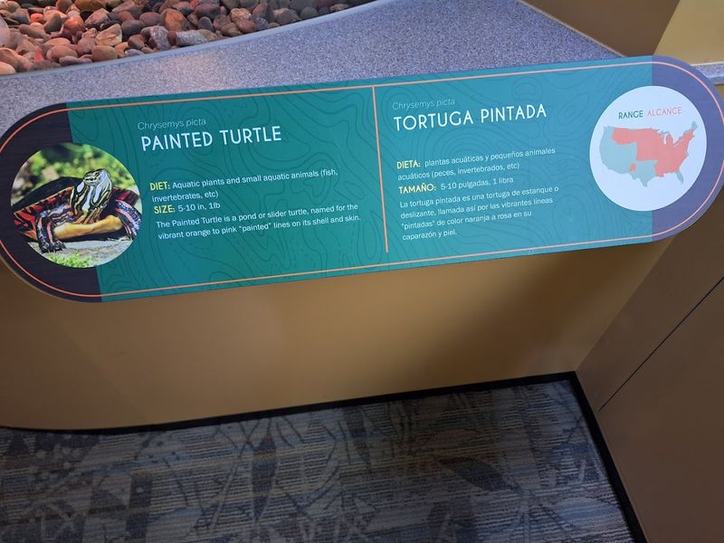 Bilingual Exhibits in English and Spanish