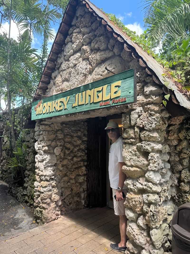 What Makes Monkey Jungle Unique