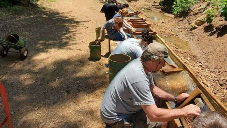 At This North Carolina Mine, You Scoop Raw Dirt by the Bucket and Walk Away With Whatever Gems You Wash Out