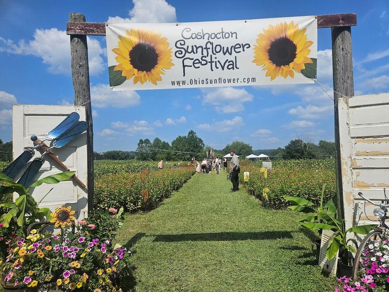 Coshocton Canal Festival — Coshocton, May