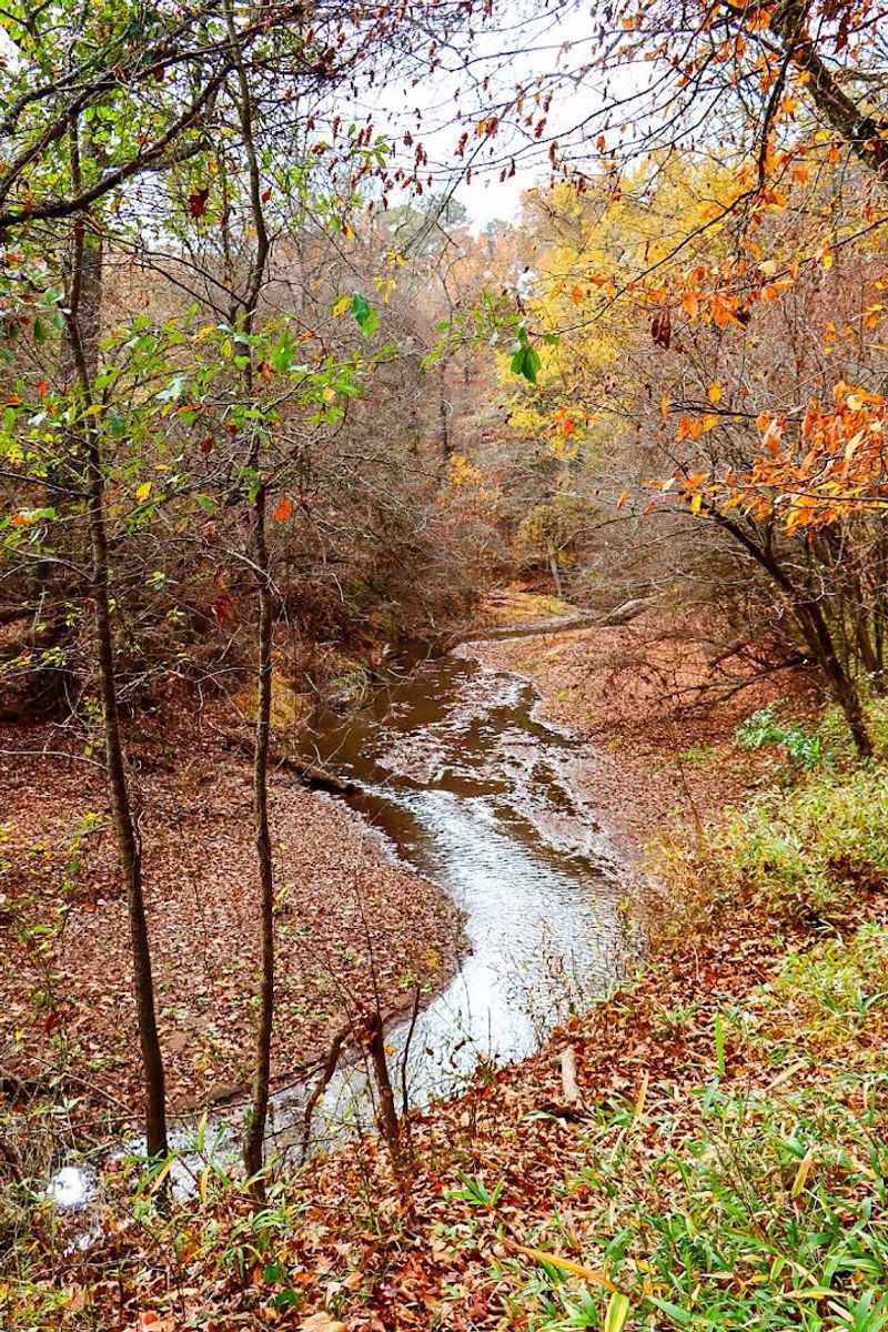 Ocmulgee River Water Trail