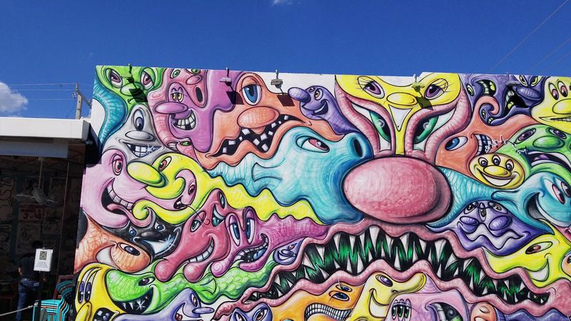 Wynwood Street Art Photo Safari, Miami