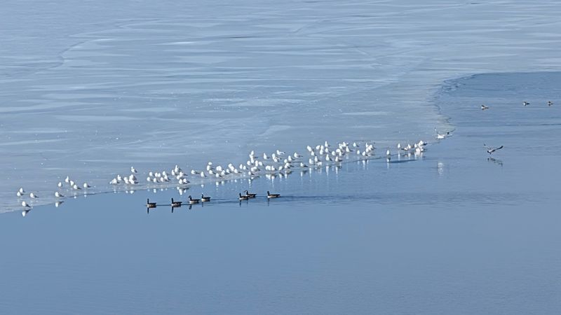 Codorus State Park (York County)