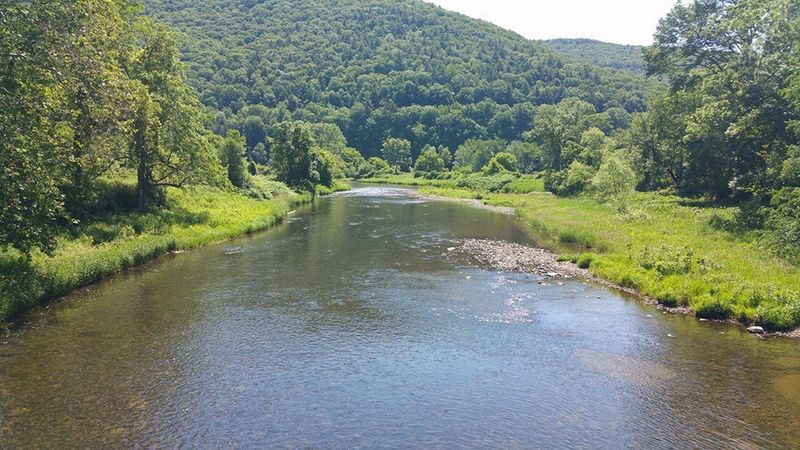 Pine Creek Gorge (Tioga County, PA)