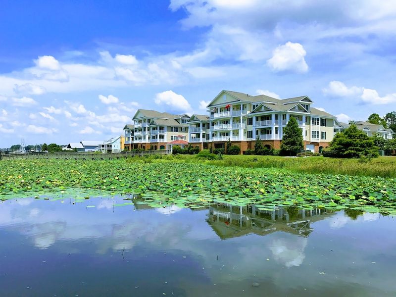 Washington (Little Washington)