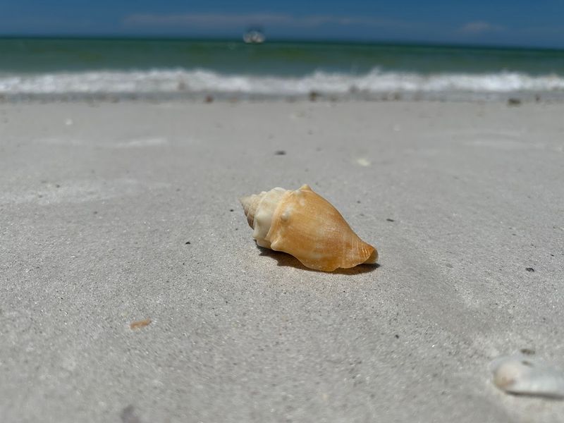 Caladesi Island State Park