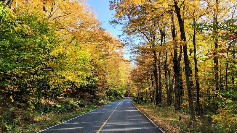 The Drive to the Summit