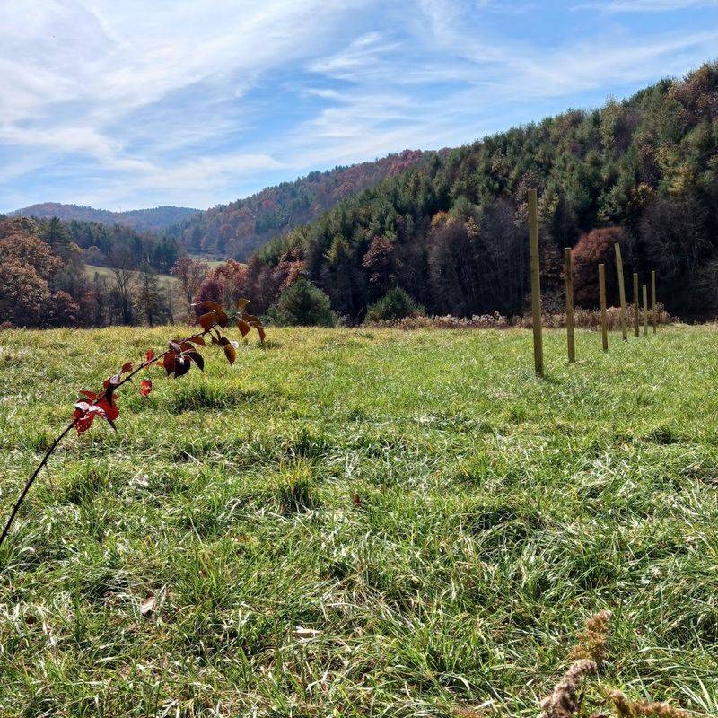 Deep Gap / Tanawha Trail Section