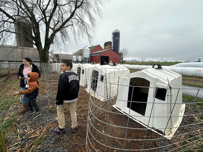 Killdeer Farm Guesthouse (Intercourse, Lancaster County)