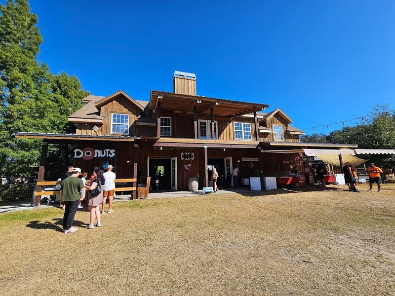 The Florida Day Trip Most People Forget to Imagine