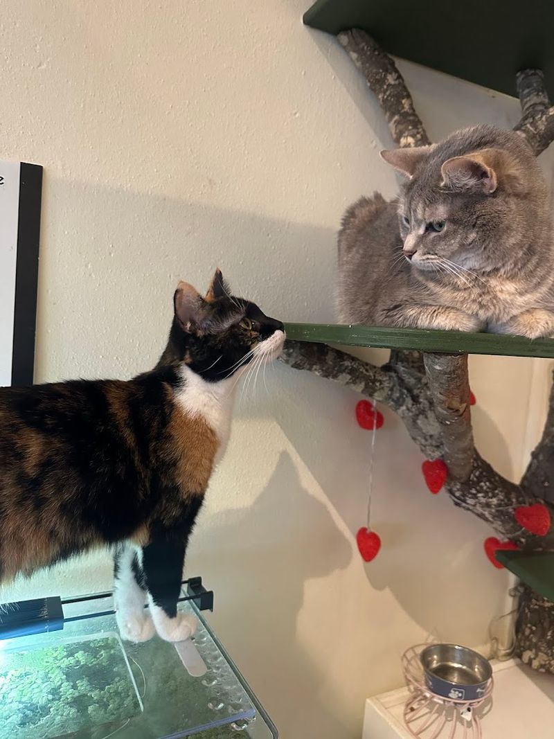 Best Times to Visit and Seasonal Notes