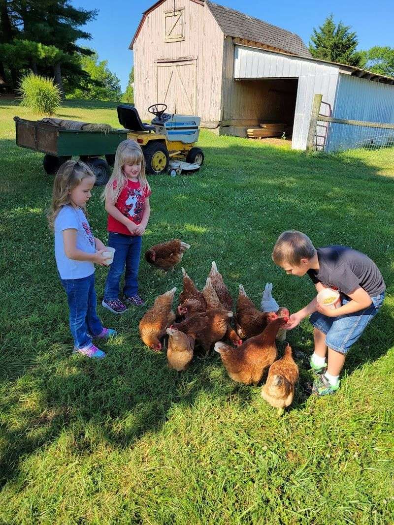 Country Vistas Bed & Breakfast (Manheim, Lancaster County)
