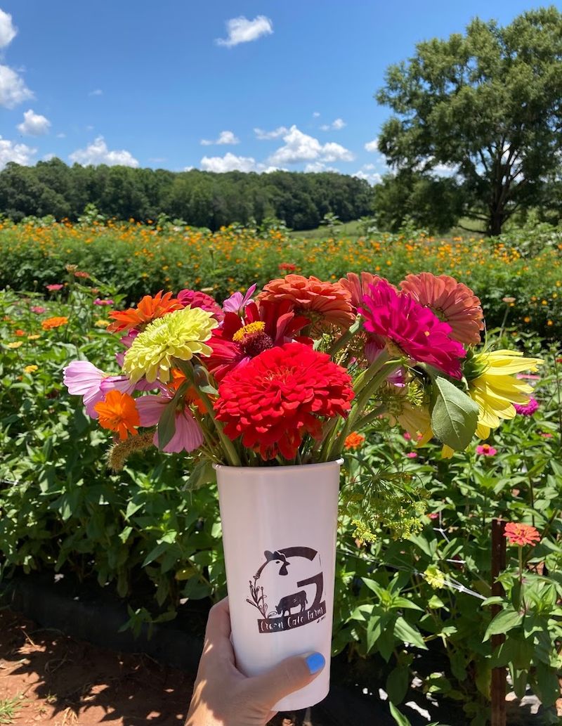 Green Gate Farm &ndash; Griffin, GA